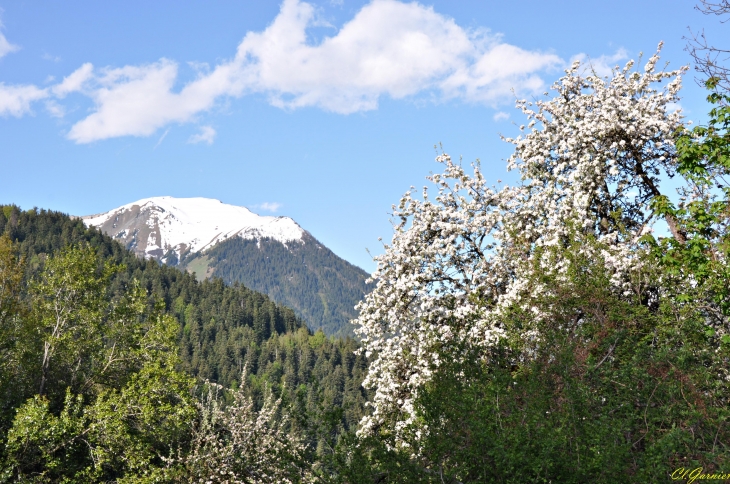 Le Mont Charvin - Albiez-le-Jeune