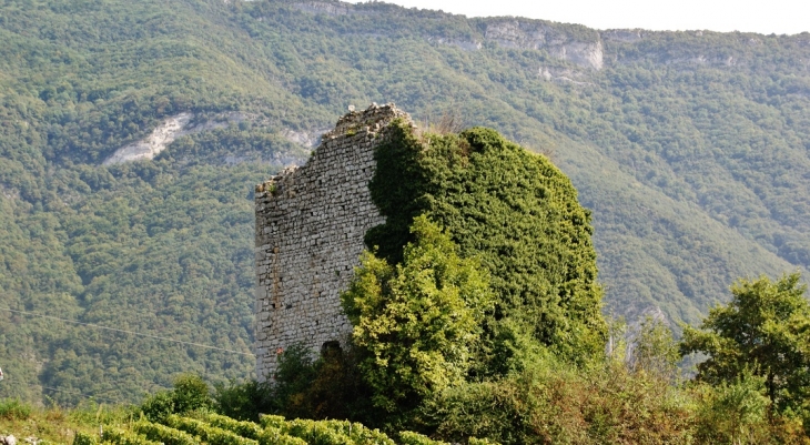 Ruines  - Chignin