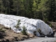 Photo suivante de Lanslevillard Reste d'avalanche - Chantelouve d'en haut