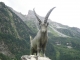 Photo suivante de Pralognan-la-Vanoise l'animal mythique de Pralognan