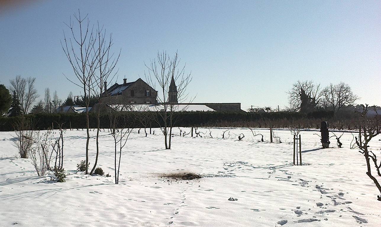 Photo à SaintMicheldeDouble (24400) SaintMicheldeDouble