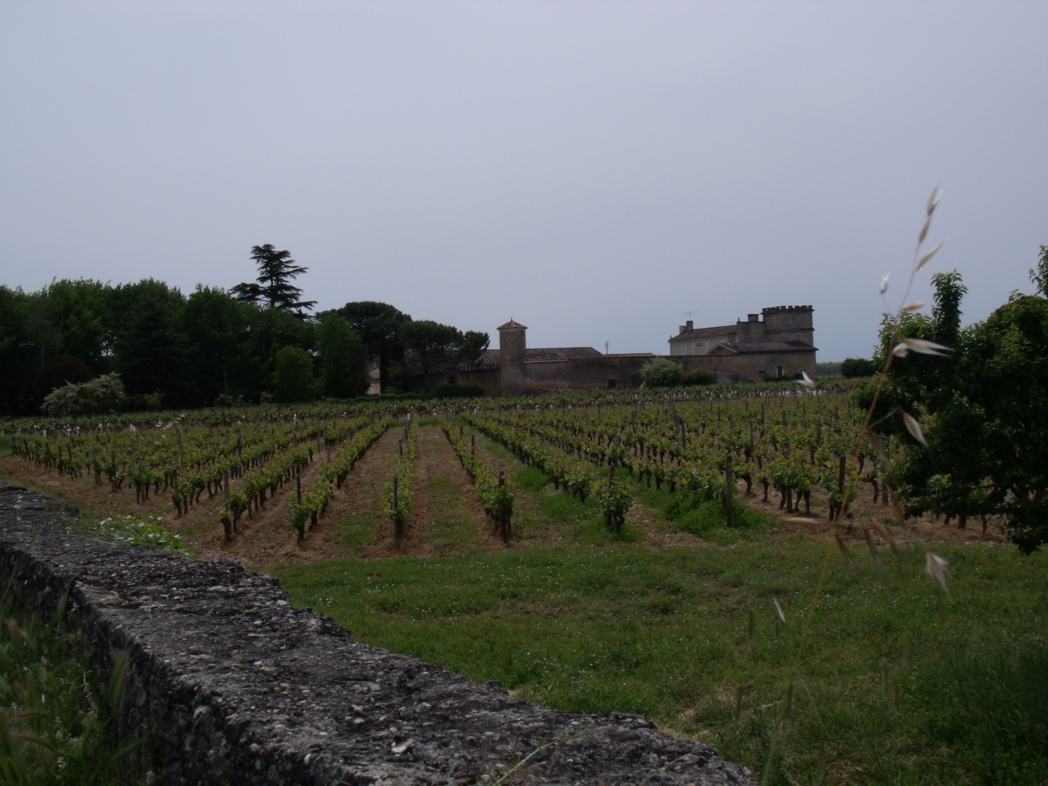 Photo à Barsac (33720) Barsac, 141381