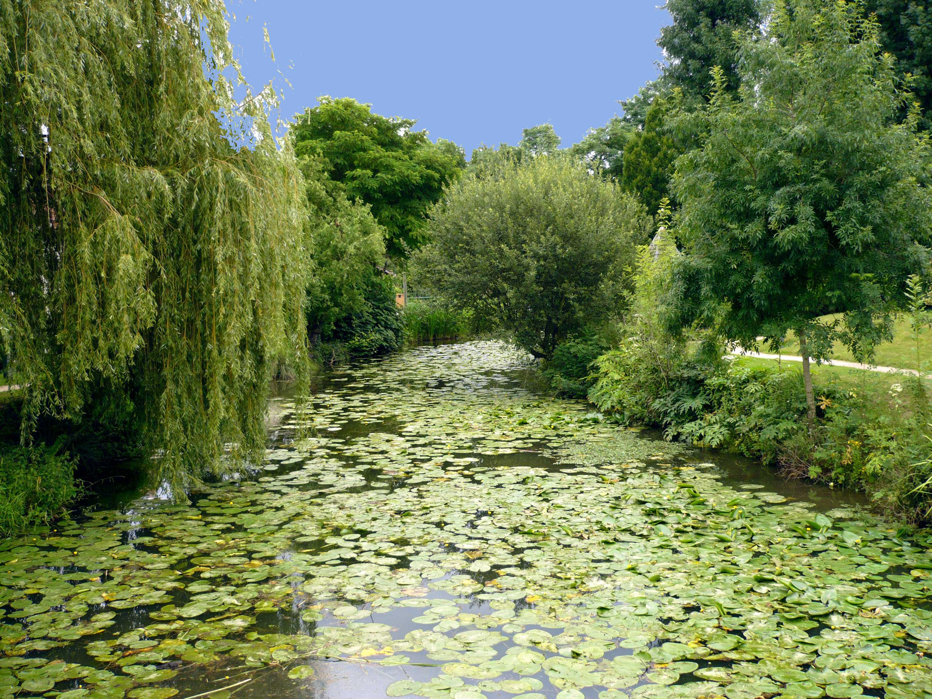 Photo  Le Temple  sur  Lot  47110 Le Jardin  des 