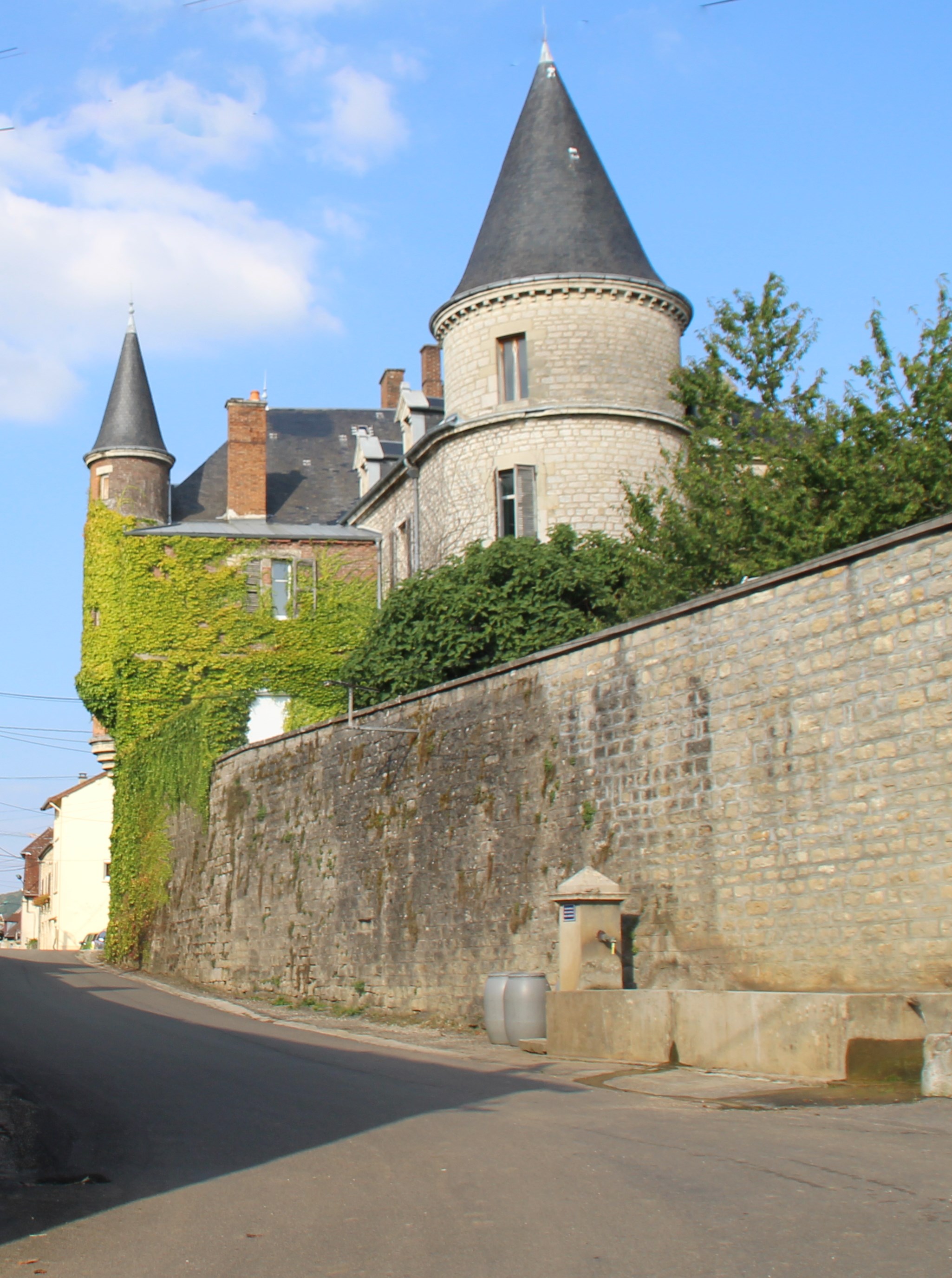 Photo à Lavigny (39210) Le Château Lavigny, 329157