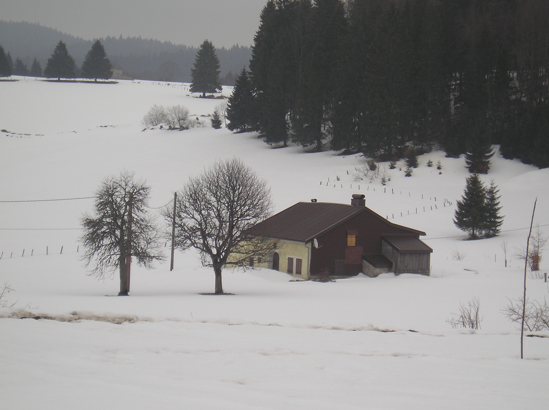 Photo à Longchaumois (39400) Les Charri7res Longchaumois, 181516