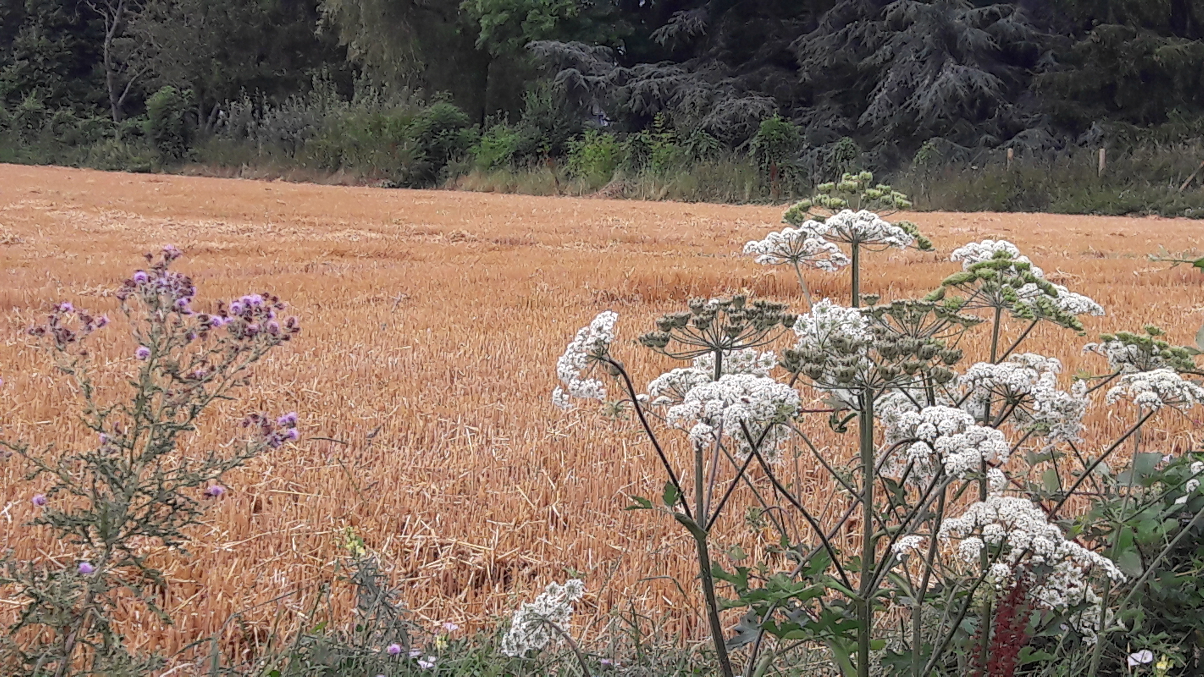 Photo à La Heunière (27950) La Heunière, 323001