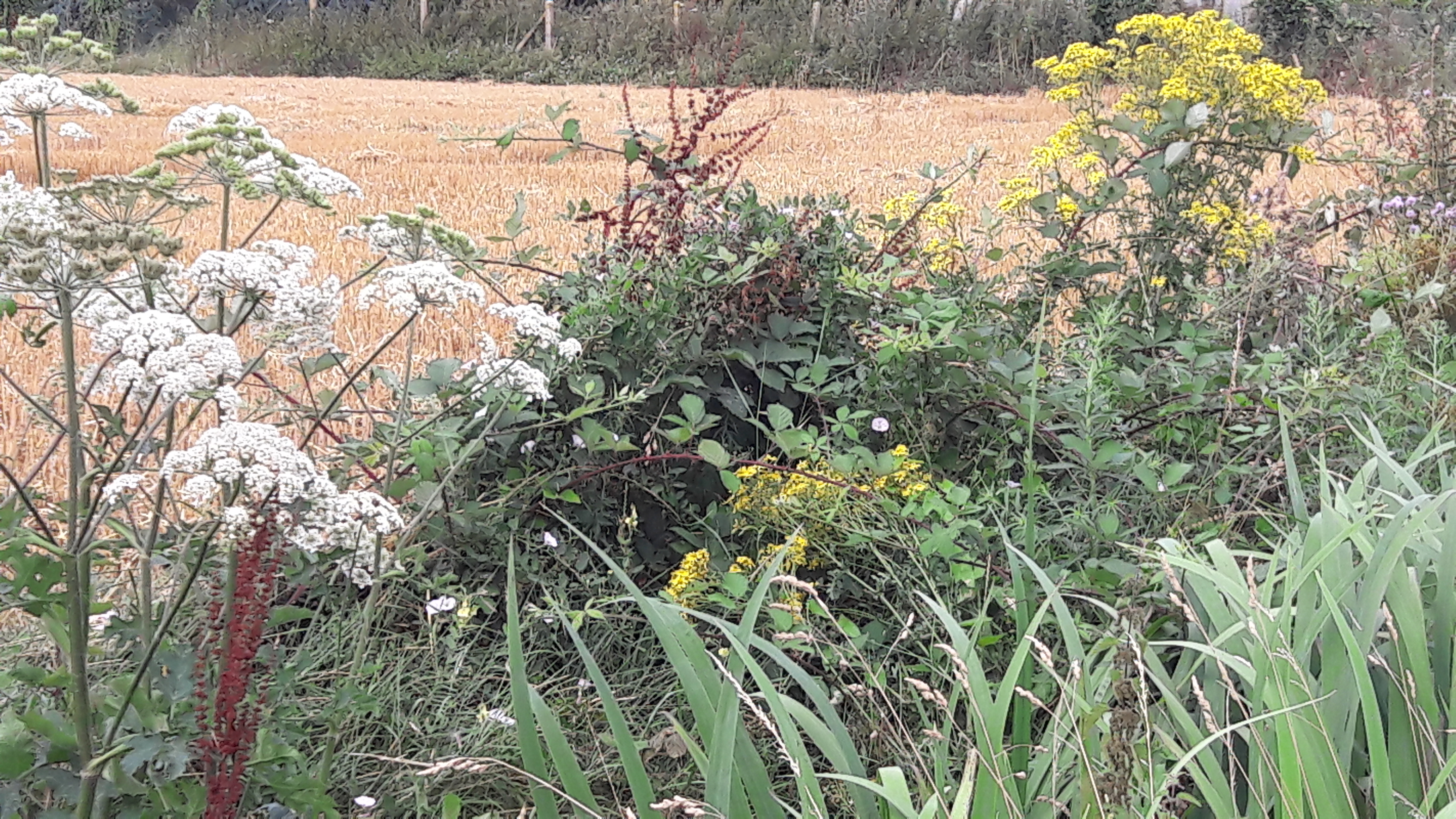 Photo à La Heunière (27950) La Heunière, 323002