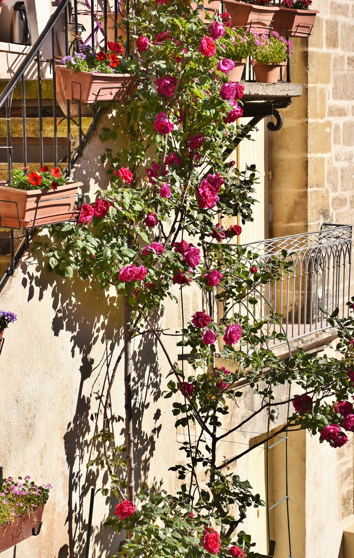 Photo à Montbazin (34560) La Commune Montbazin, 379341