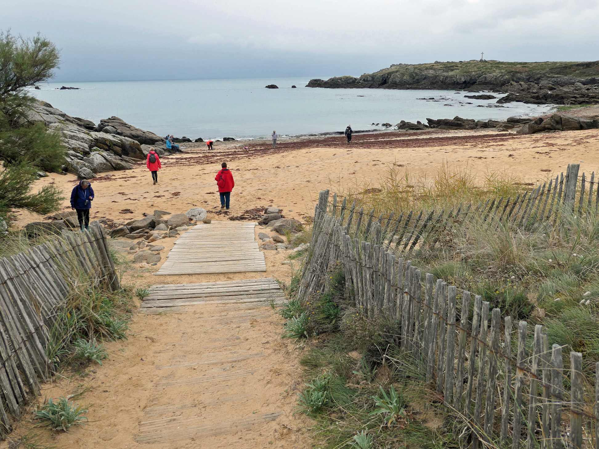 Photo à L'Îled'Yeu (85350) La côte sauvage la plage des Sabias L