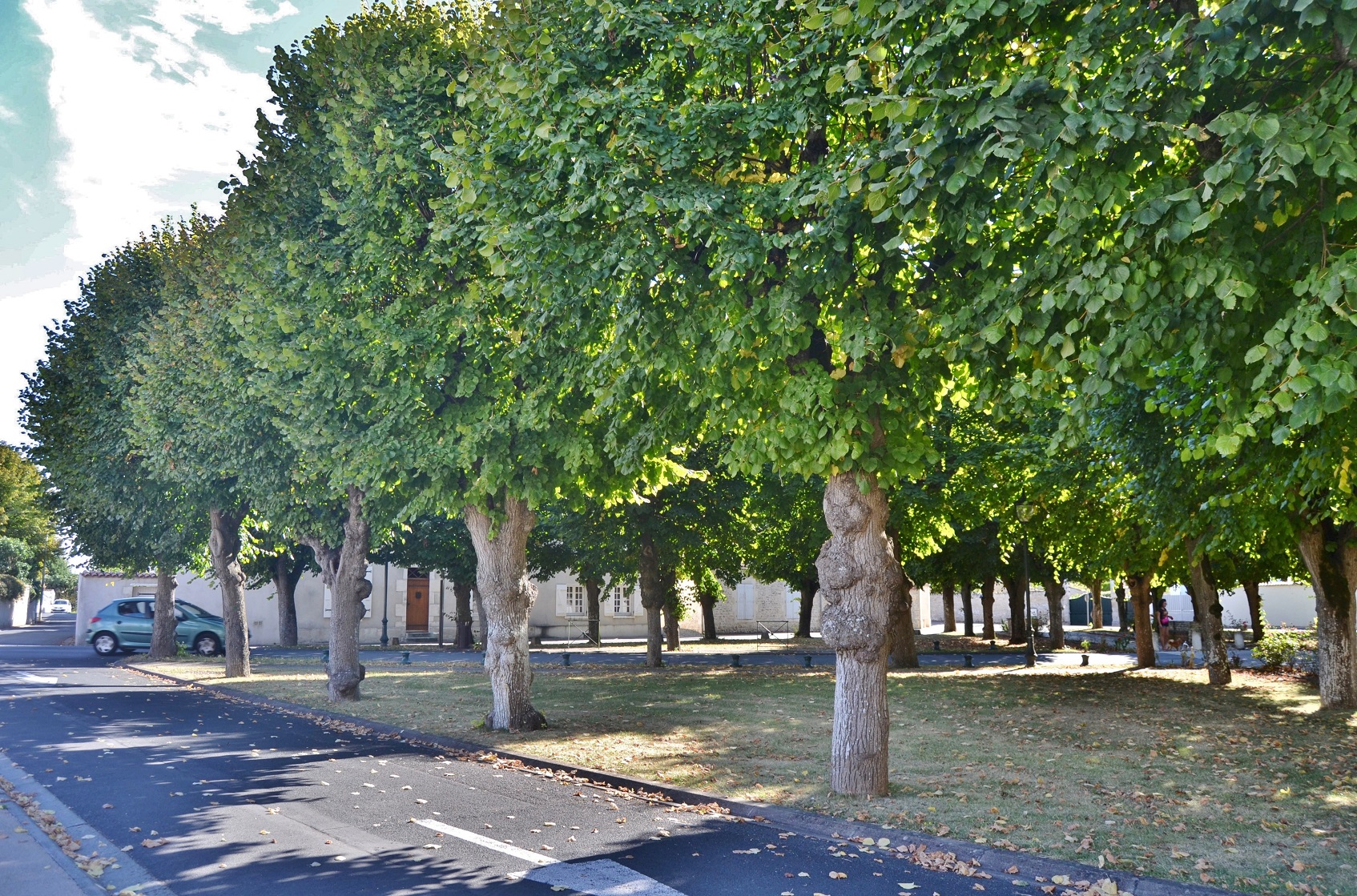 Photo à SaintRogatien (17220) SaintRogatien, 216712