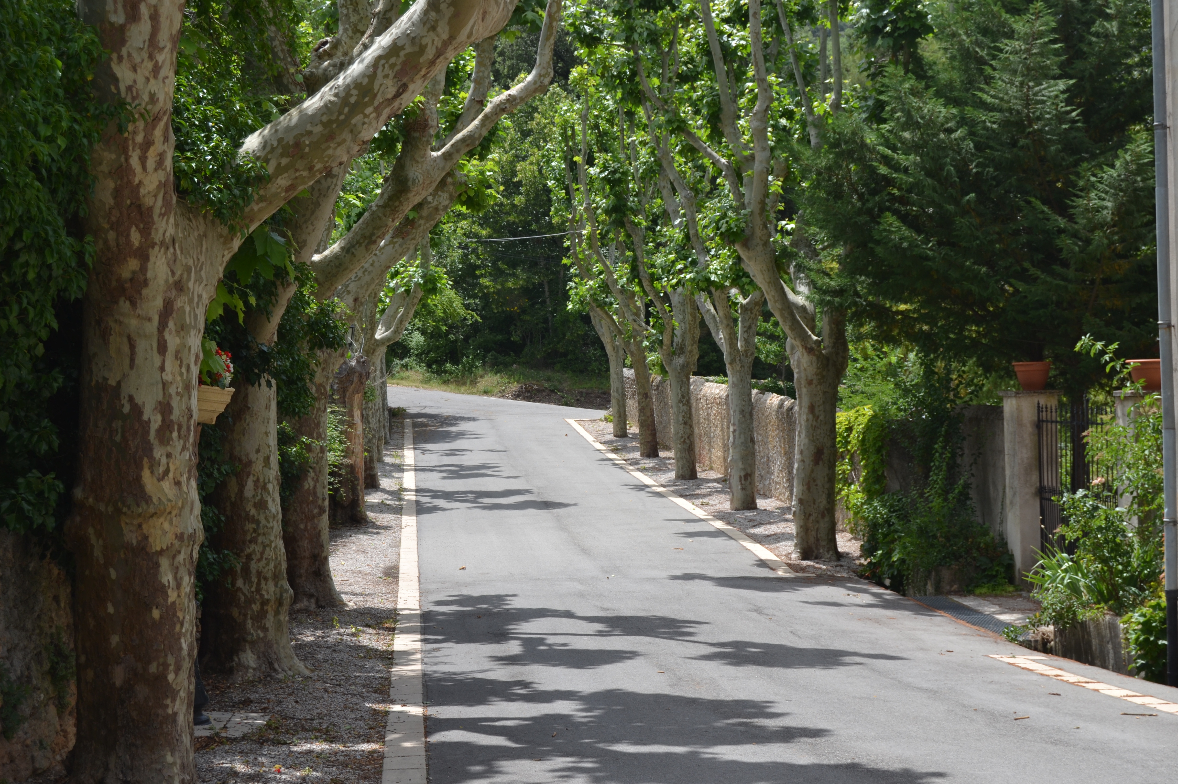 Photo à Artigues (83560) Artigues, 144632