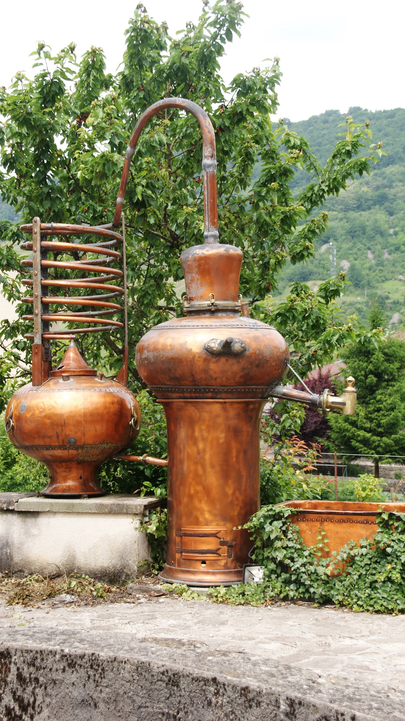 Photo à Cerdon (01450) Cerdon, 200499