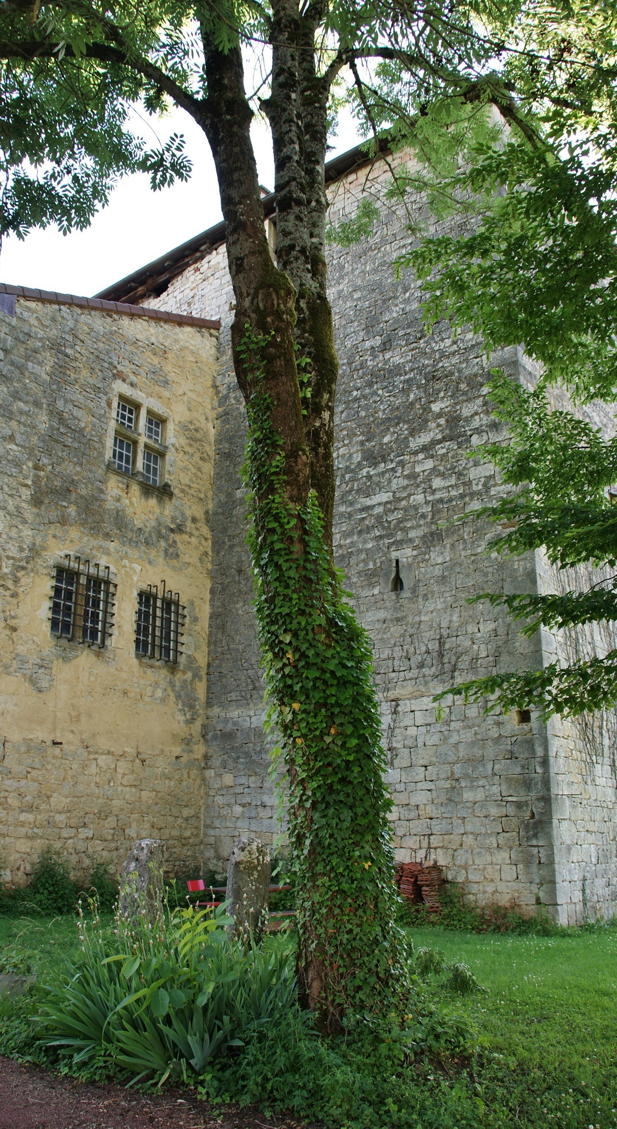 Photo à Meillonnas (01370) Château de Meillonnas, 202986