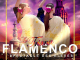 gala de danse flamenco