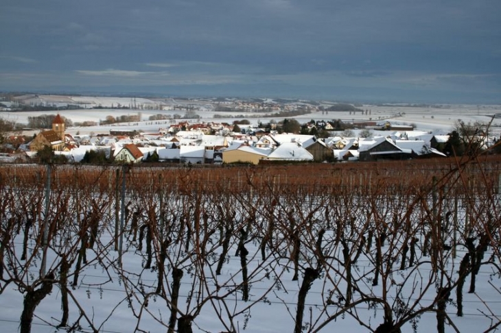 Le village vue de la colline et des vignes - Dahlenheim