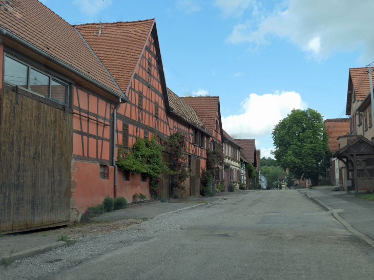 Maisons du village - Issenhausen