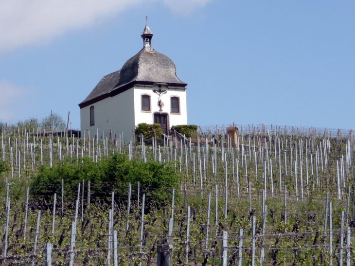 Dans le vignoble la chapelle de la Vierge Douloureuse - Marlenheim