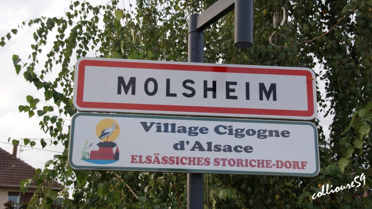  - Molsheim