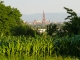 la cathédrale de Strasbourg , depuis la colline du village