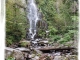 Cascade de Nideck ( très belle randonnée )