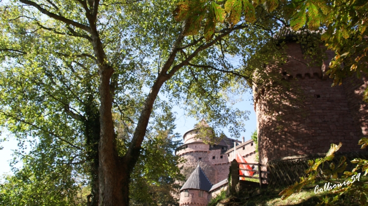 Chateau du Haut Koenigsbourg - Orschwiller