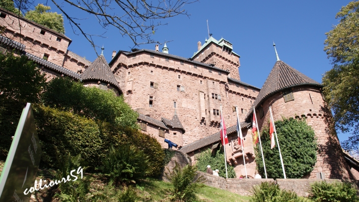 Chateau du Haut Koenigsbourg - Orschwiller