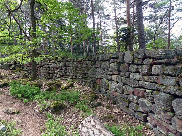 Le mur païen - Ottrott