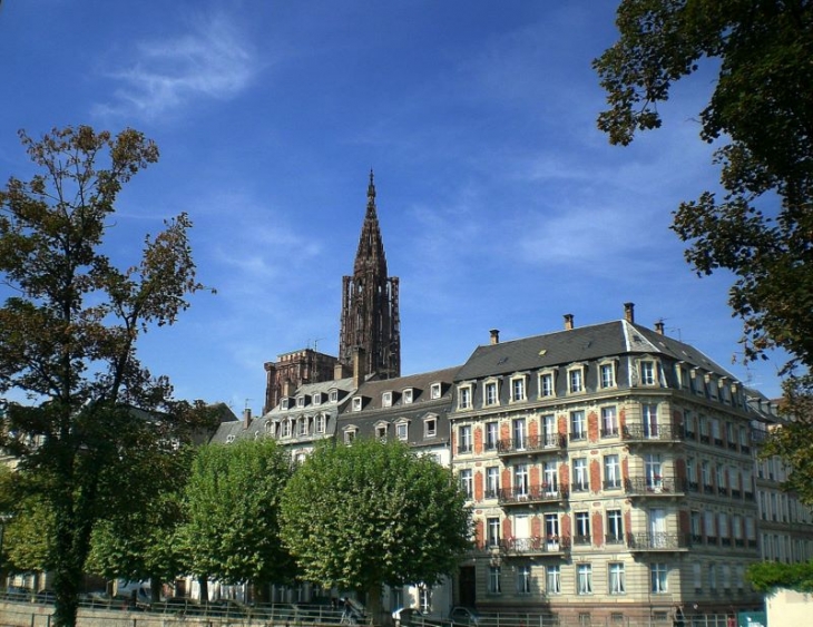 Cathédrale - Strasbourg