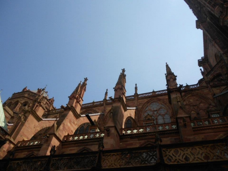 Une vue sur la Cathédrale de côté. - Strasbourg