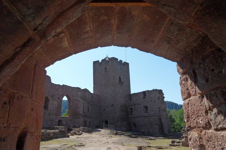 Vue depuis l'entrée du château - Wangenbourg-Engenthal