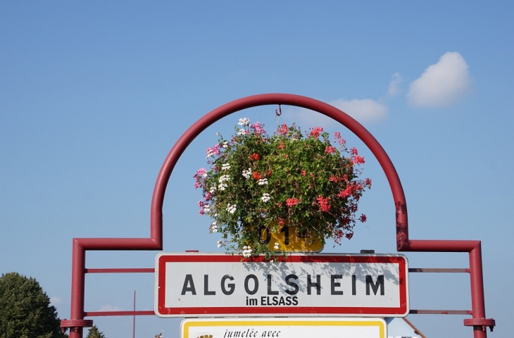  - Algolsheim