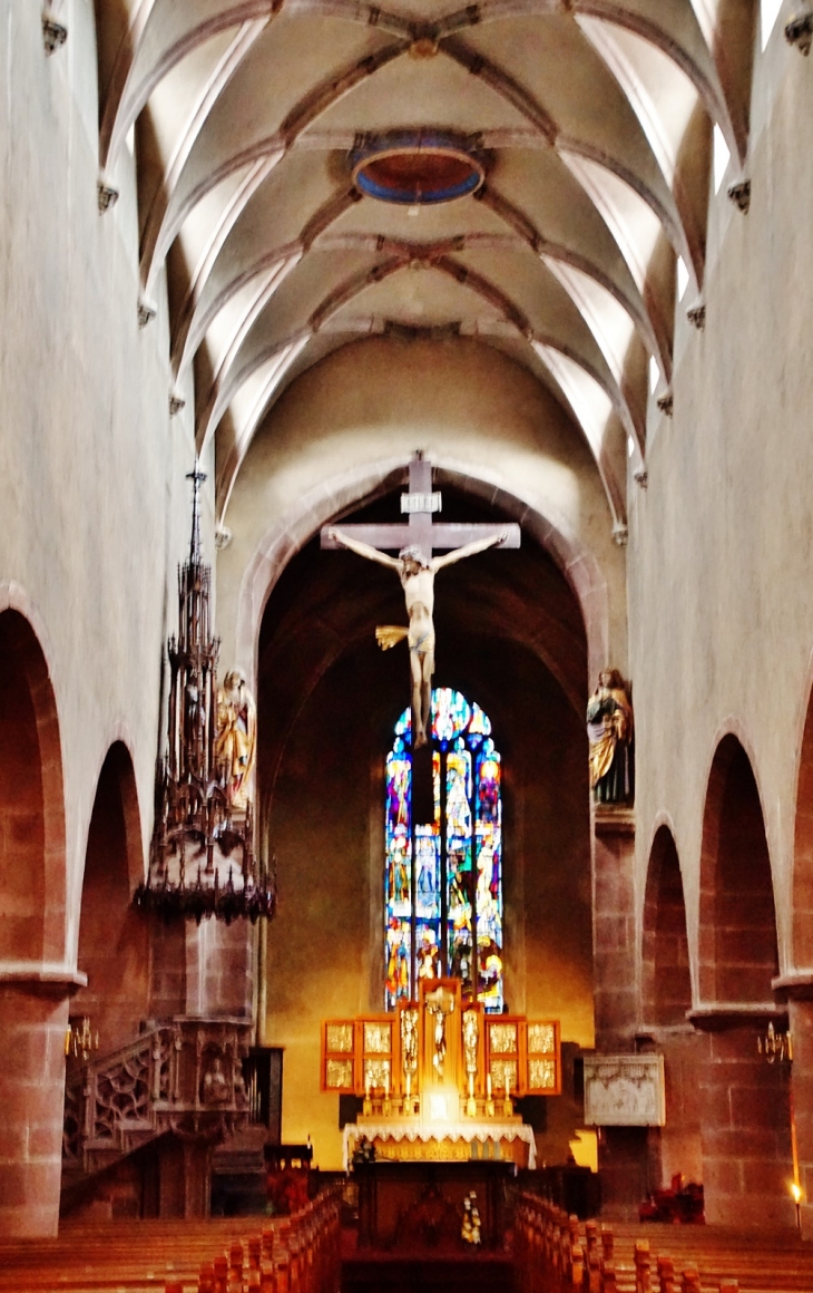 église Saint-Martin - Ammerschwihr