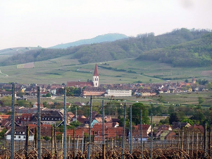 Vue sur le village - Ammerschwihr