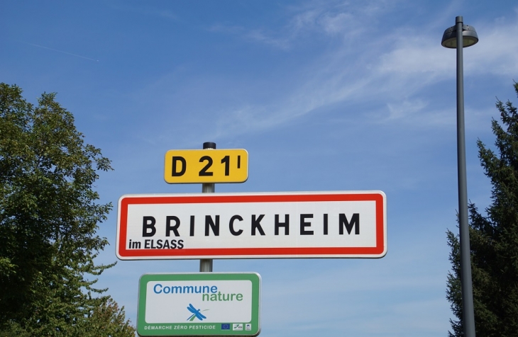 - Brinckheim