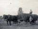 Photo suivante de Diefmatten L'agriculture d'antan avec les chevaux