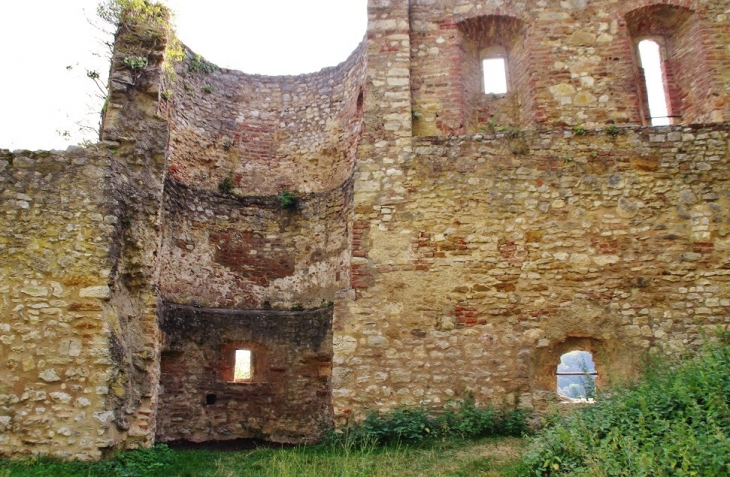 Ruines du Château de Ferrette