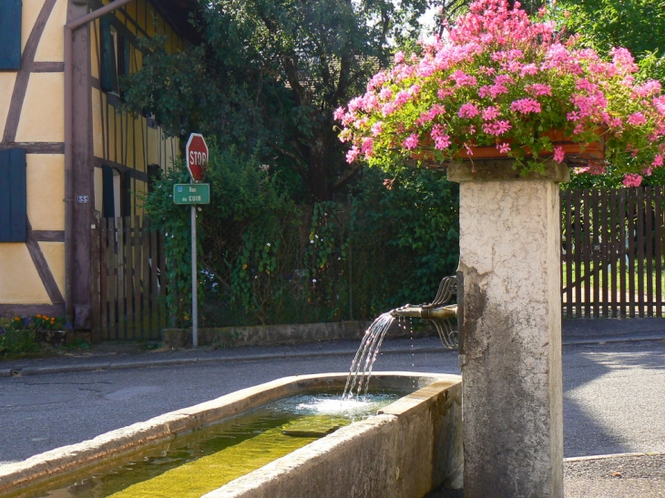 Une fontaine dans les couleurs matinales de l'été - Friesen