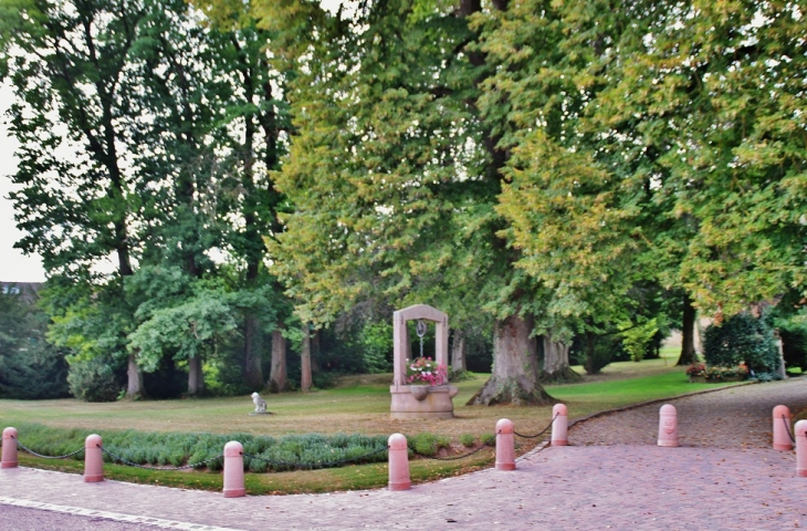 La Mairie ( Le Parc ) - Hagenthal-le-Haut