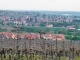 Village de la route des vins