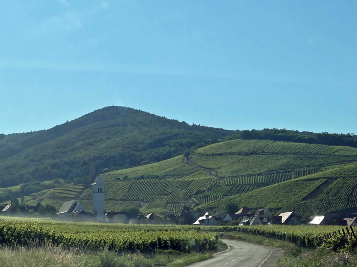 Le village au pied du vignoble ensoleillé - Katzenthal