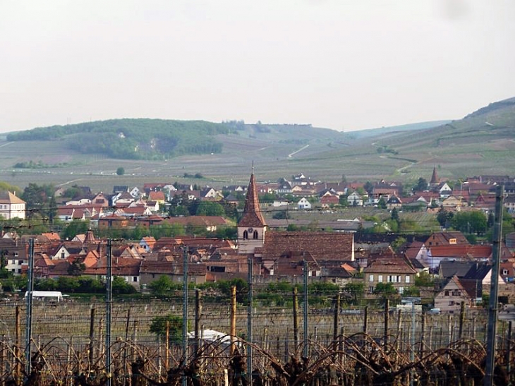 Vue sur le village de la route des vins - Kientzheim