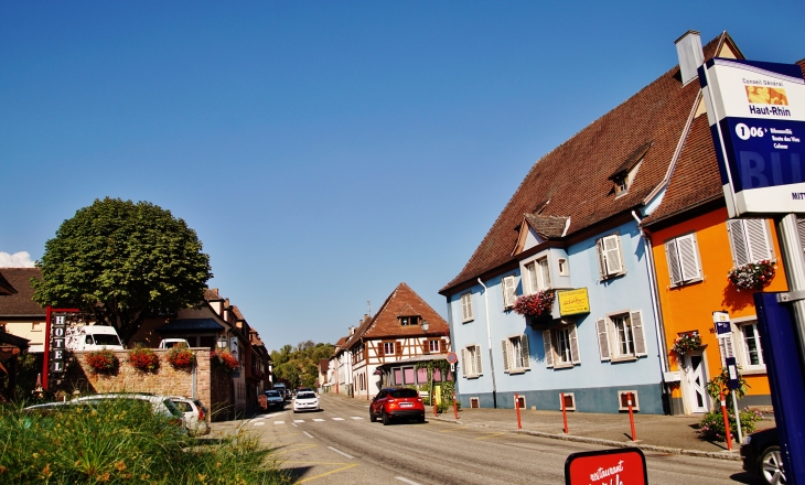 Le Village - Mittelwihr