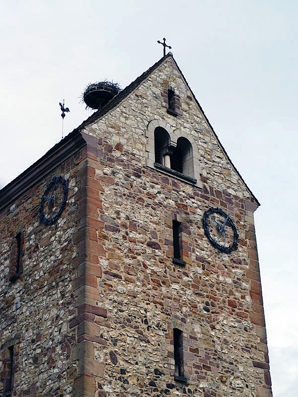 Le nid de cigognes sur le clocher - Muntzenheim