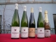 Photo précédente de Obermorschwihr Les Vins Bannwarth