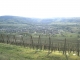 vue du village du haut du bollenberg