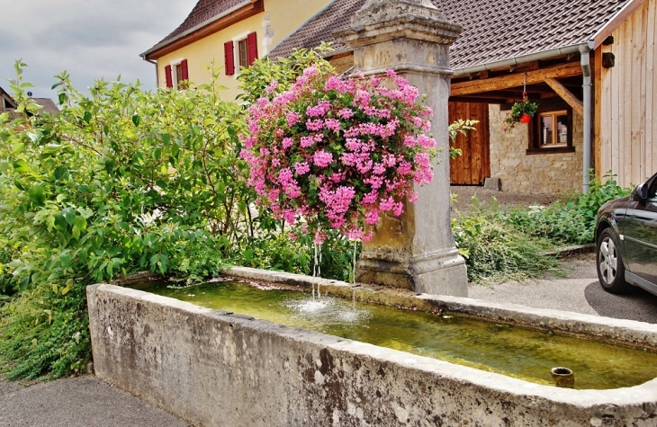 Fontaine Abreuvoir - Raedersdorf