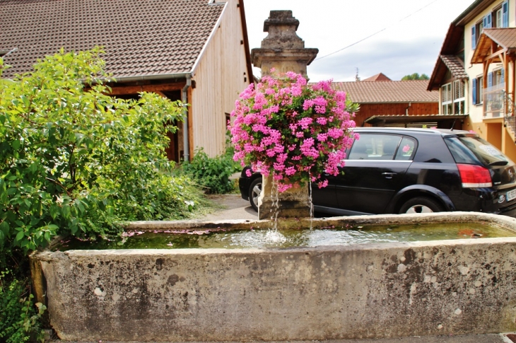 Fontaine Abreuvoir - Raedersdorf
