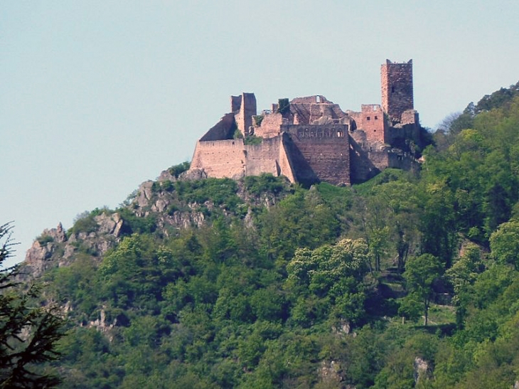 Le château de Saint Ulrich dominant la ville - Ribeauvillé