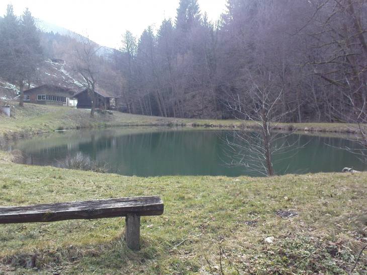 Photo de l'étang des bruyères - Storckensohn