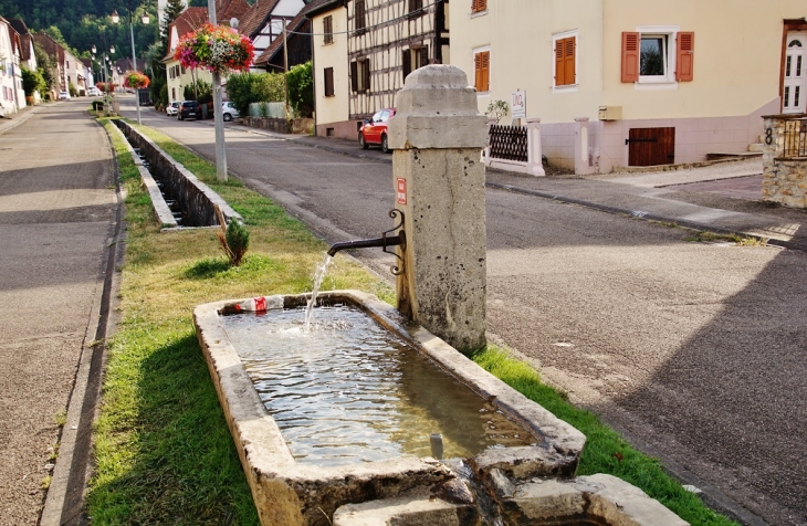 Fontaine - Vieux-Ferrette